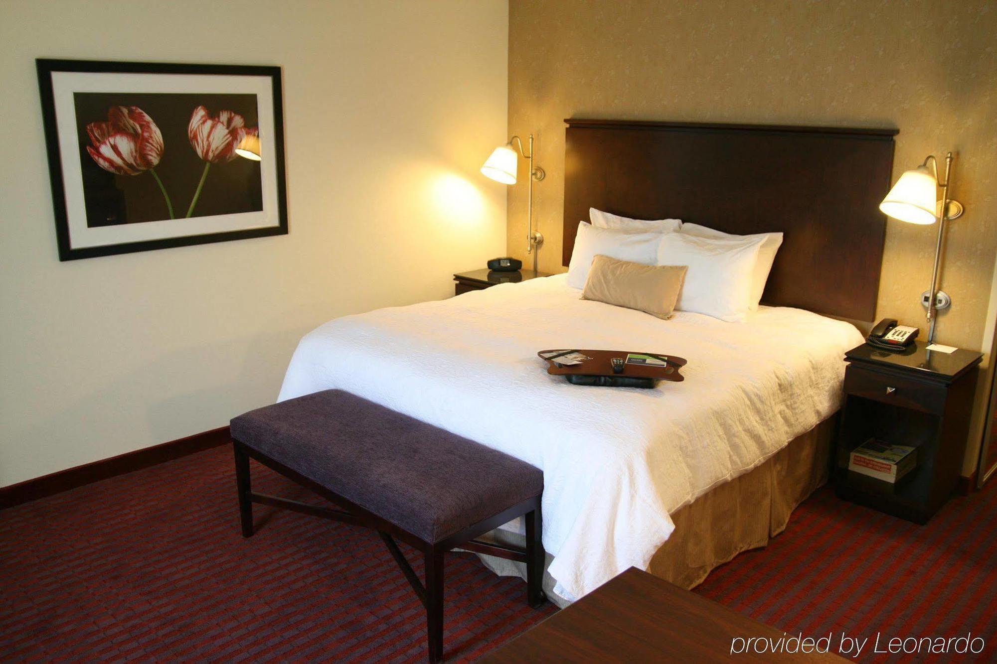 Hampton Inn Richmond - Airport Sandston Værelse billede